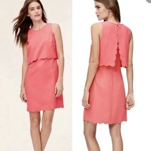 LOFT Size 4 Light Pink Scalloped Open Back Dress